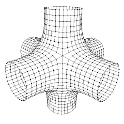 Polygon Mesh